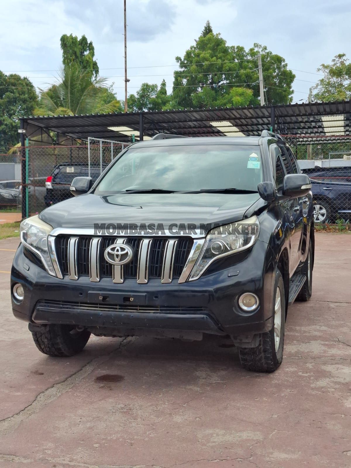 Toyota TX Prado