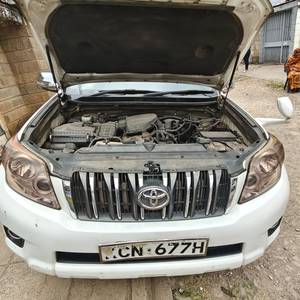 Toyota prado